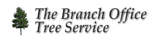 The Branch Office Tree Service